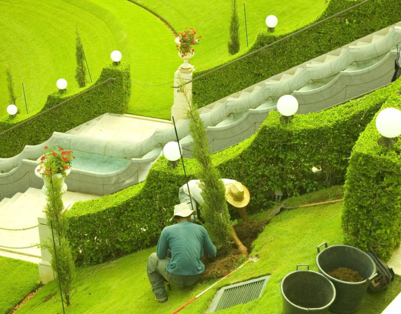 Robert's Tree Service