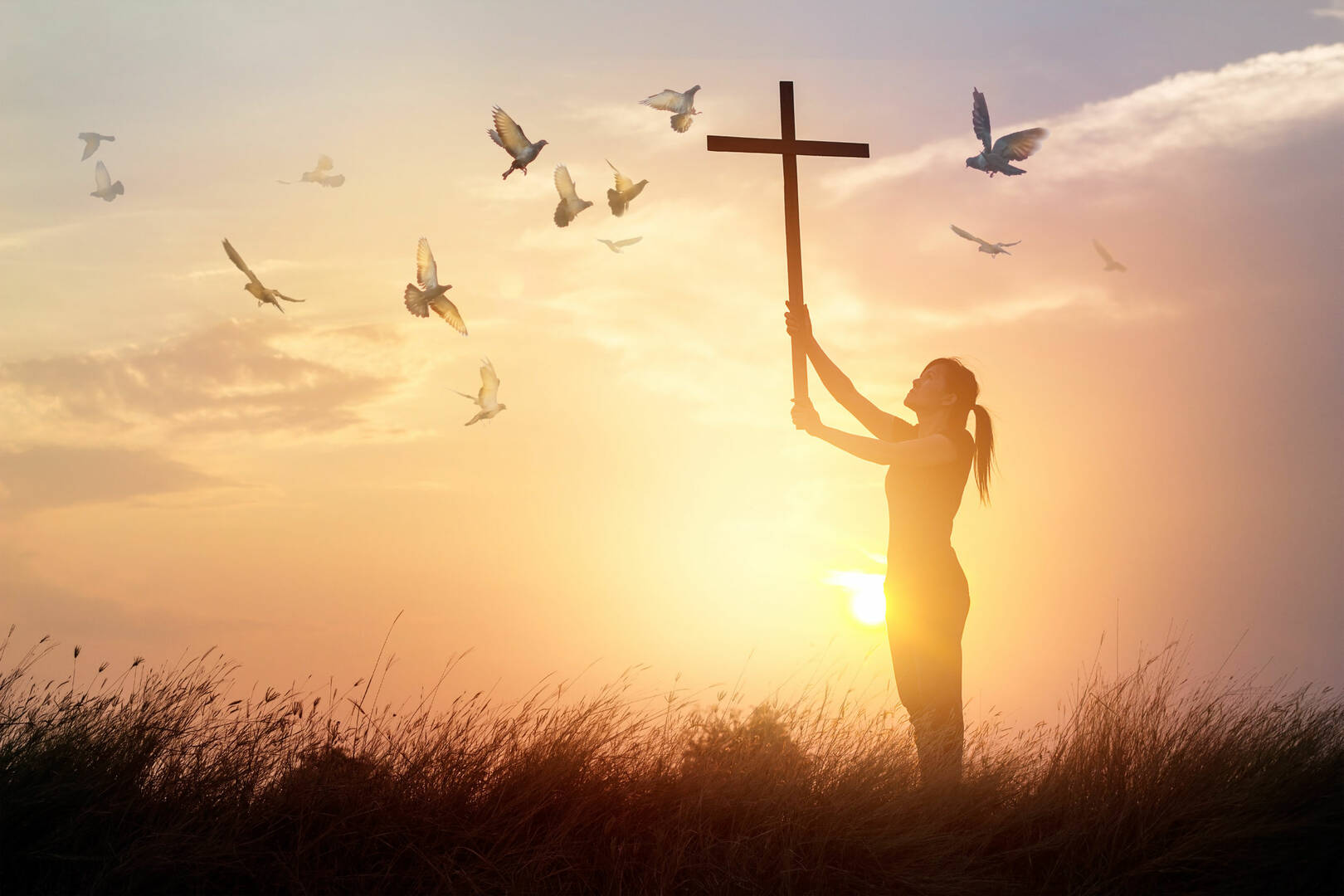 Marotti-Burns Funeral & Cremation Services
