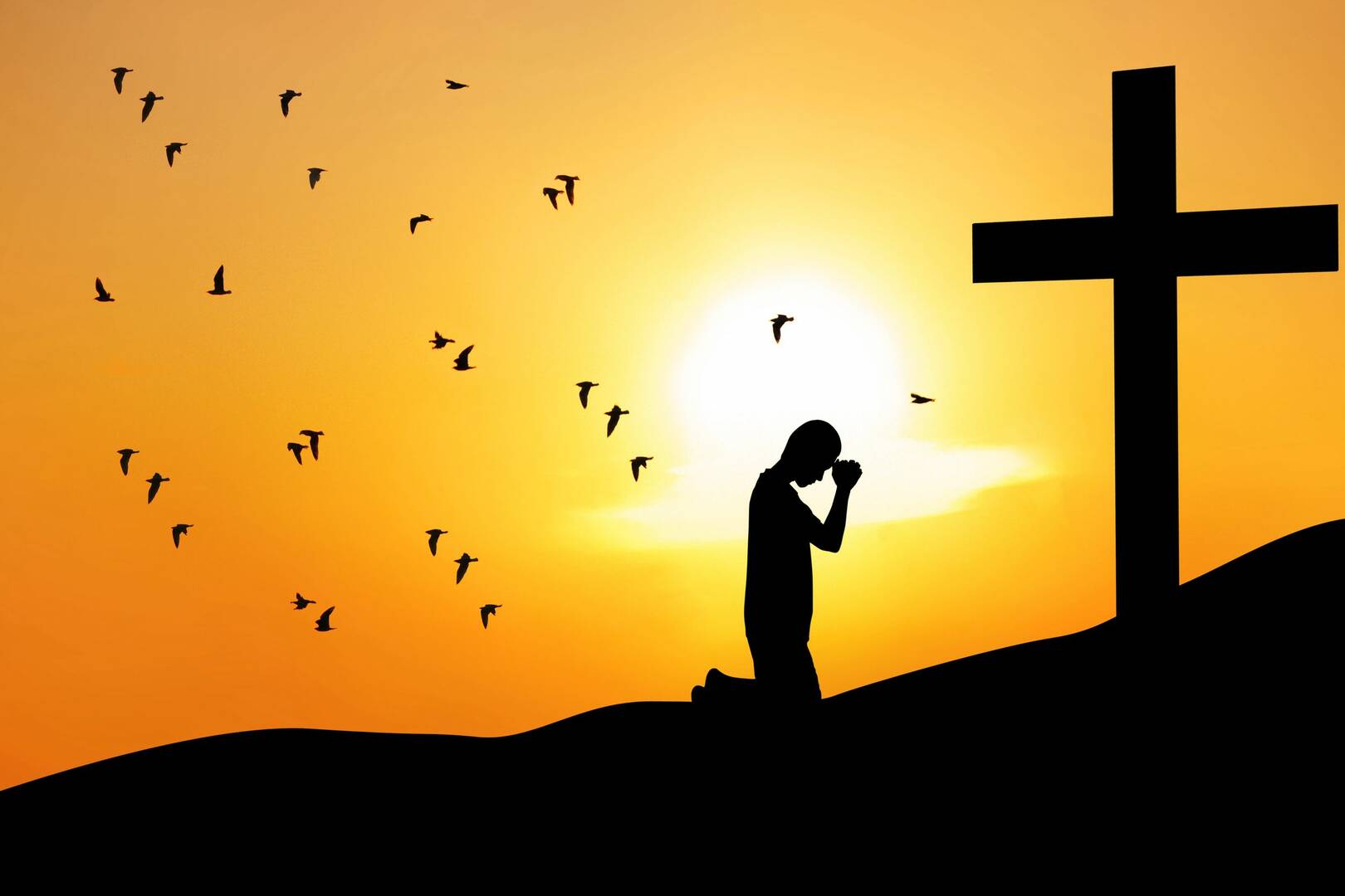 Haven Funerals Services Limited