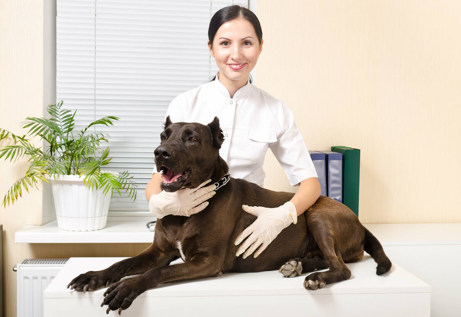 Beaver Dam Veterinary Clinic